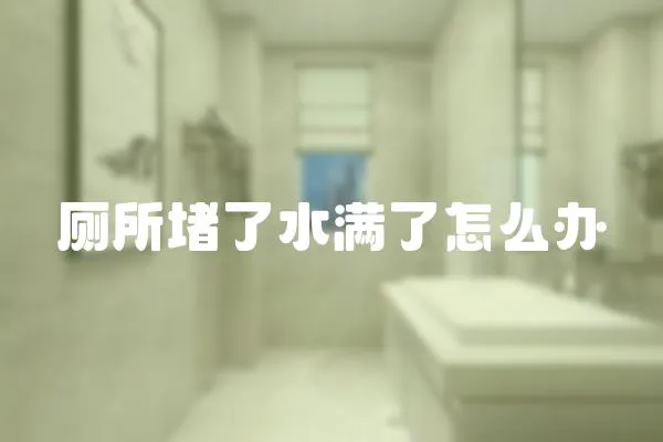 廁所堵了水滿了怎么辦