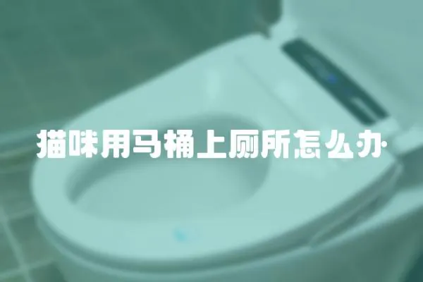 貓咪用馬桶上廁所怎么辦