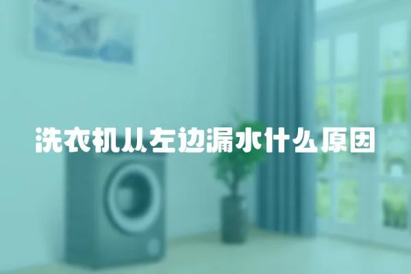 洗衣機從左邊漏水什么原因