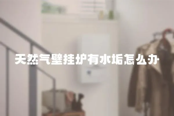天然氣壁掛爐有水垢怎么辦