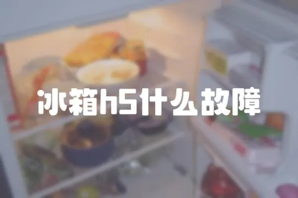 冰箱h5什么故障
