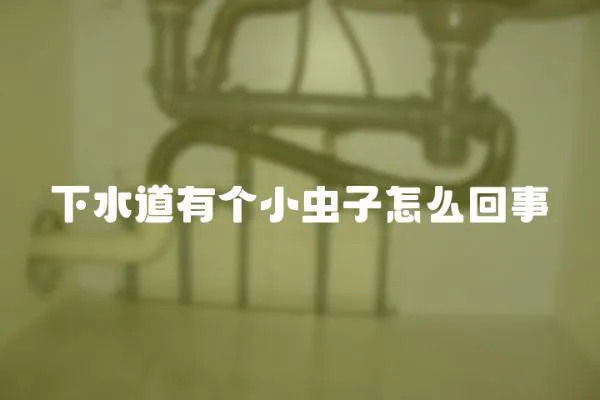 下水道有個小蟲子怎么回事
