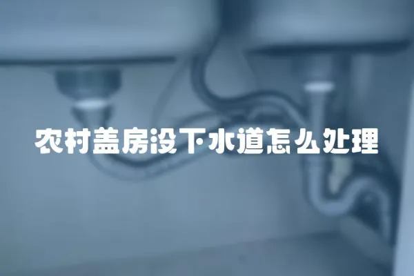 農村蓋房沒下水道怎么處理