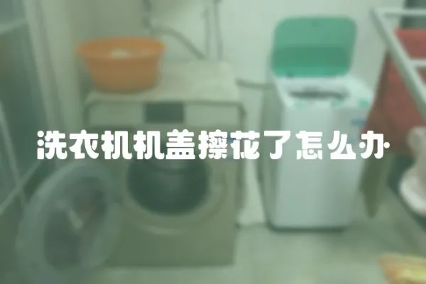 洗衣機機蓋擦花了怎么辦