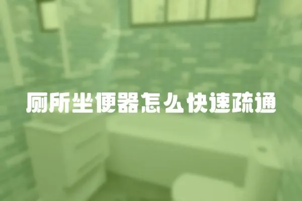 廁所坐便器怎么快速疏通