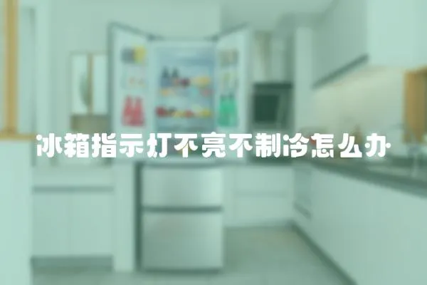 冰箱指示燈不亮不制冷怎么辦