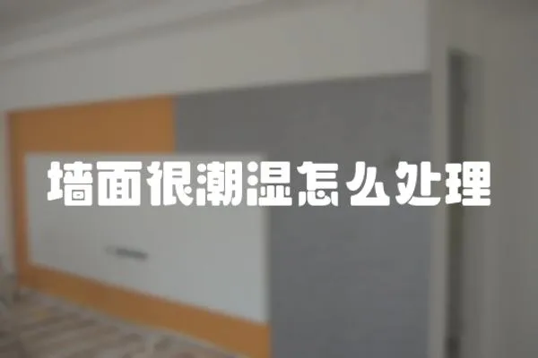 墻面很潮濕怎么處理