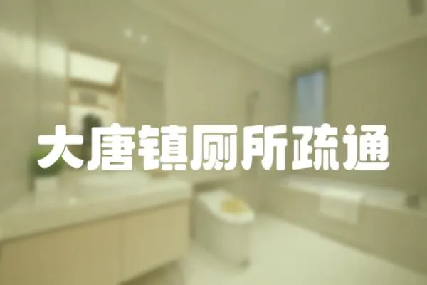 大唐鎮(zhèn)廁所疏通