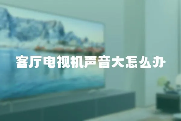 客廳電視機(jī)聲音大怎么辦