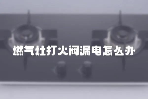 燃氣灶打火閥漏電怎么辦