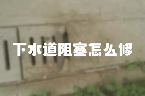 下水道阻塞怎么修