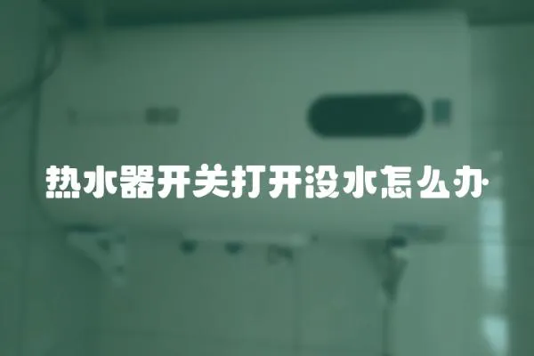 熱水器開關打開沒水怎么辦