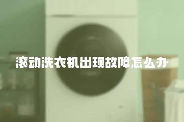 滾動洗衣機出現故障怎么辦