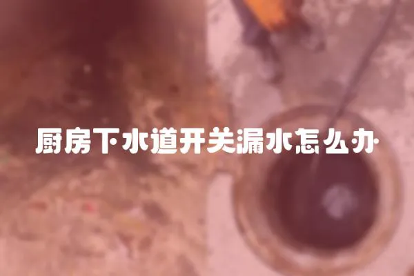 厨房下水道开关漏水怎么办