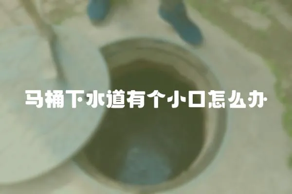 馬桶下水道有個小口怎么辦