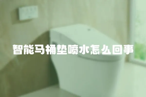 智能馬桶墊噴水怎么回事
