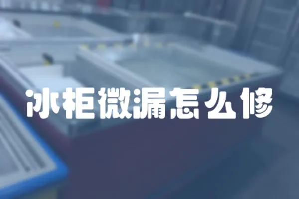 冰柜微漏怎么修
