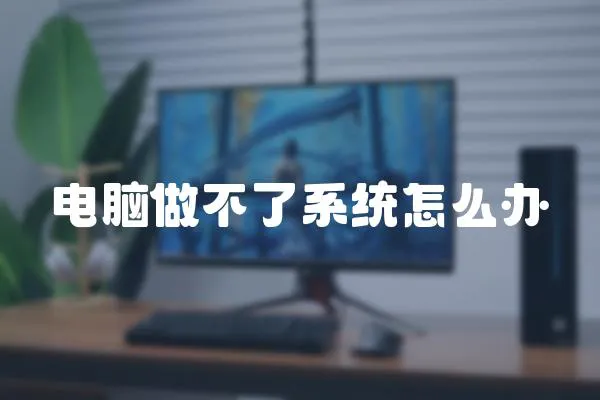 電腦做不了系統怎么辦