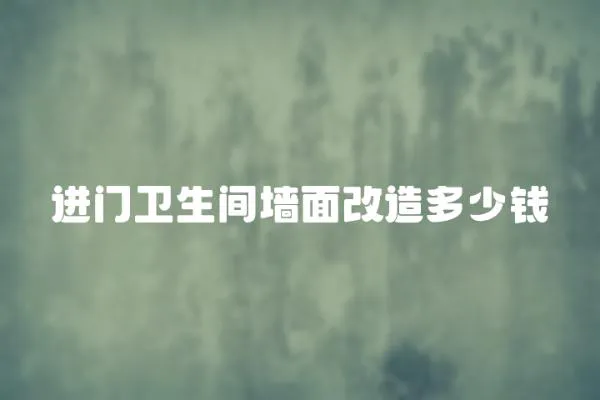 進(jìn)門衛(wèi)生間墻面改造多少錢