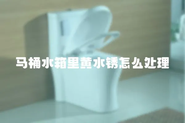 馬桶水箱里黃水銹怎么處理
