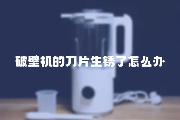 破壁機的刀片生銹了怎么辦