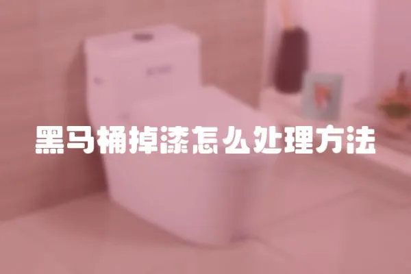 黑马桶掉漆怎么处理方法