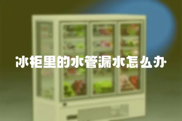 冰柜里的水管漏水怎么辦