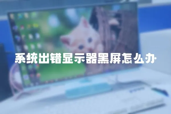 系統出錯顯示器黑屏怎么辦