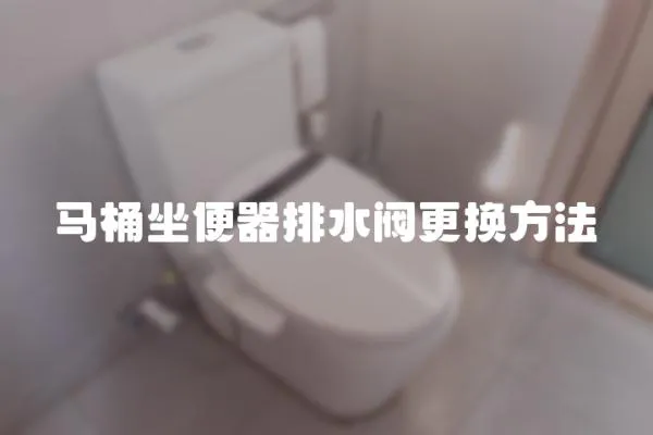 馬桶坐便器排水閥更換方法