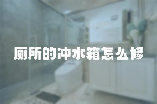 廁所的沖水箱怎么修