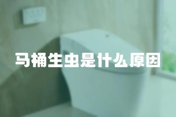 馬桶生蟲是什么原因