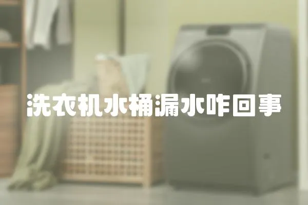 洗衣機水桶漏水咋回事