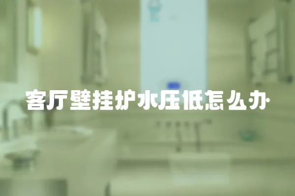客廳壁掛爐水壓低怎么辦