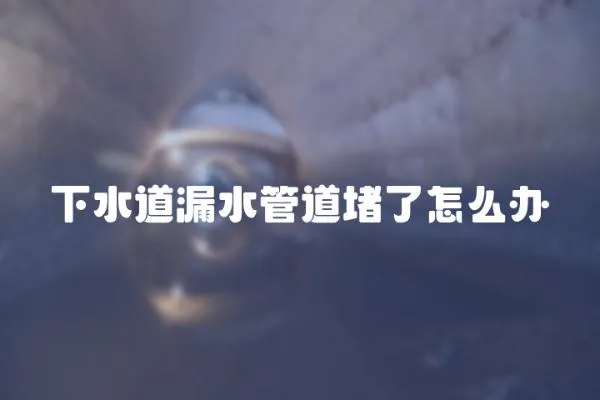 下水道漏水管道堵了怎么辦
