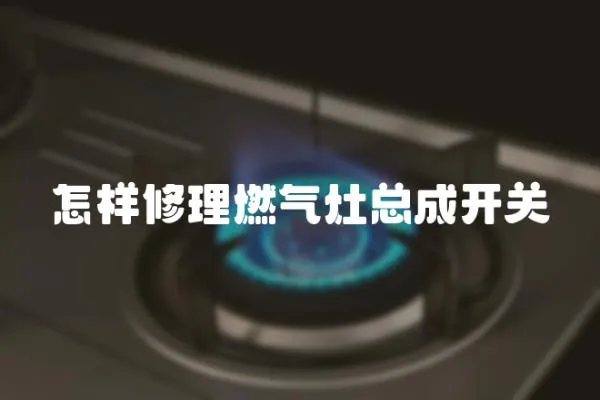 怎樣修理燃氣灶總成開關