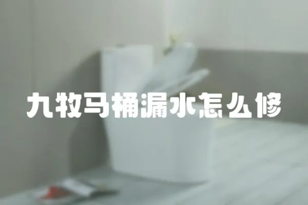 九牧馬桶漏水怎么修