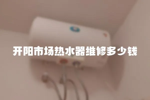 開陽市場熱水器維修多少錢