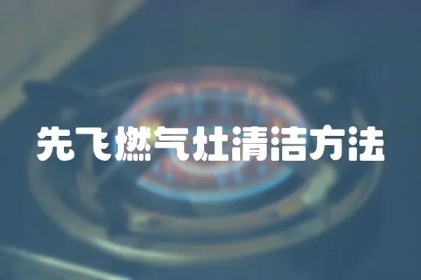 先飛燃氣灶清潔方法