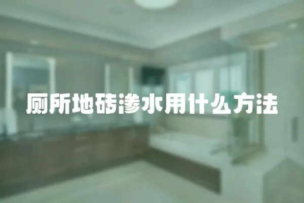 廁所地磚滲水用什么方法