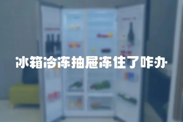 冰箱冷凍抽屜凍住了咋辦