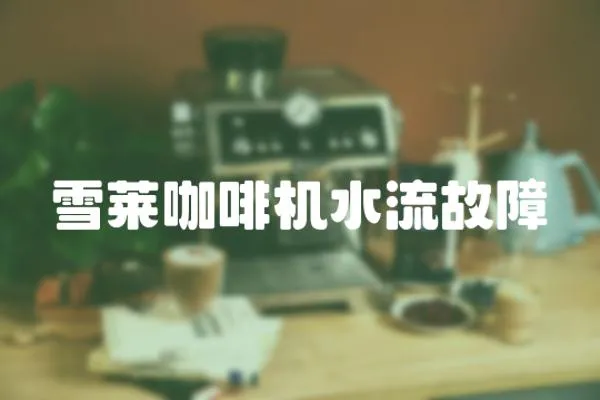 雪萊咖啡機水流故障