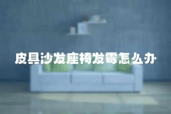 皮具沙發座椅發霉怎么辦