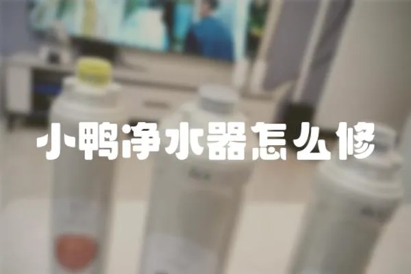 小鴨凈水器怎么修