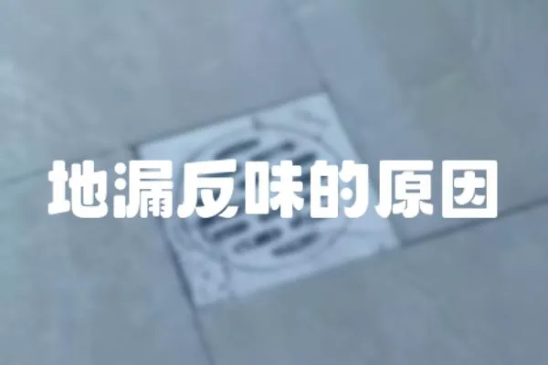 地漏反味的原因