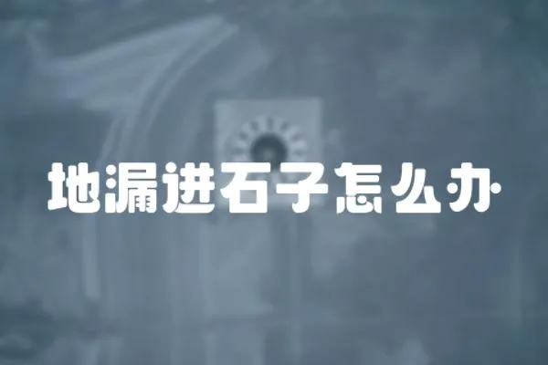 地漏進石子怎么辦