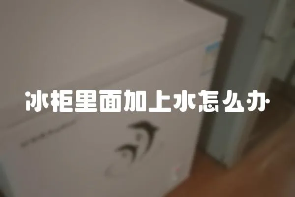 冰柜里面加上水怎么辦