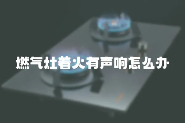 燃氣灶著火有聲響怎么辦