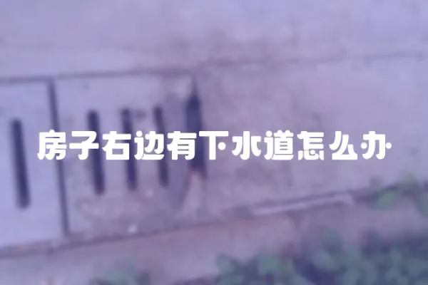 房子右邊有下水道怎么辦