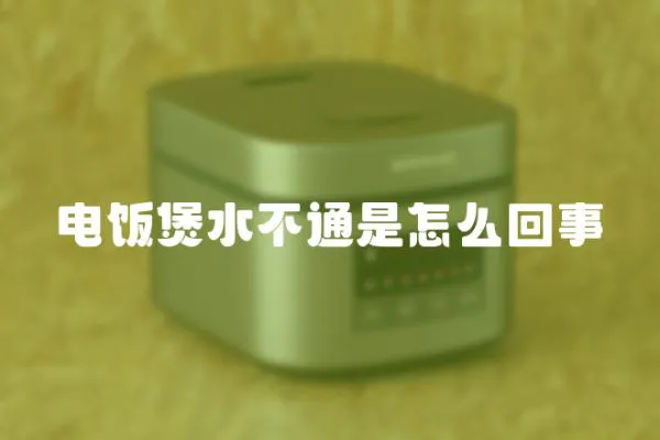 電飯煲水不通是怎么回事