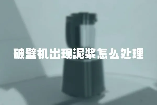 破壁機出現泥漿怎么處理